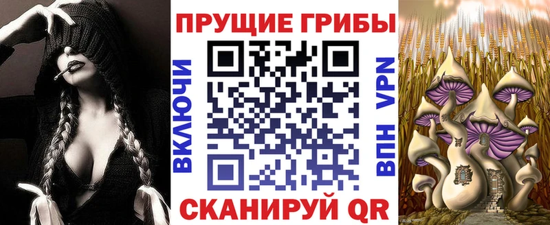 площадка Telegram  Медногорск  Галлюциногенные грибы Cubensis  цены  